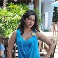 Payal Ghosh New Hot and Spicy Gallery | Picture 90661